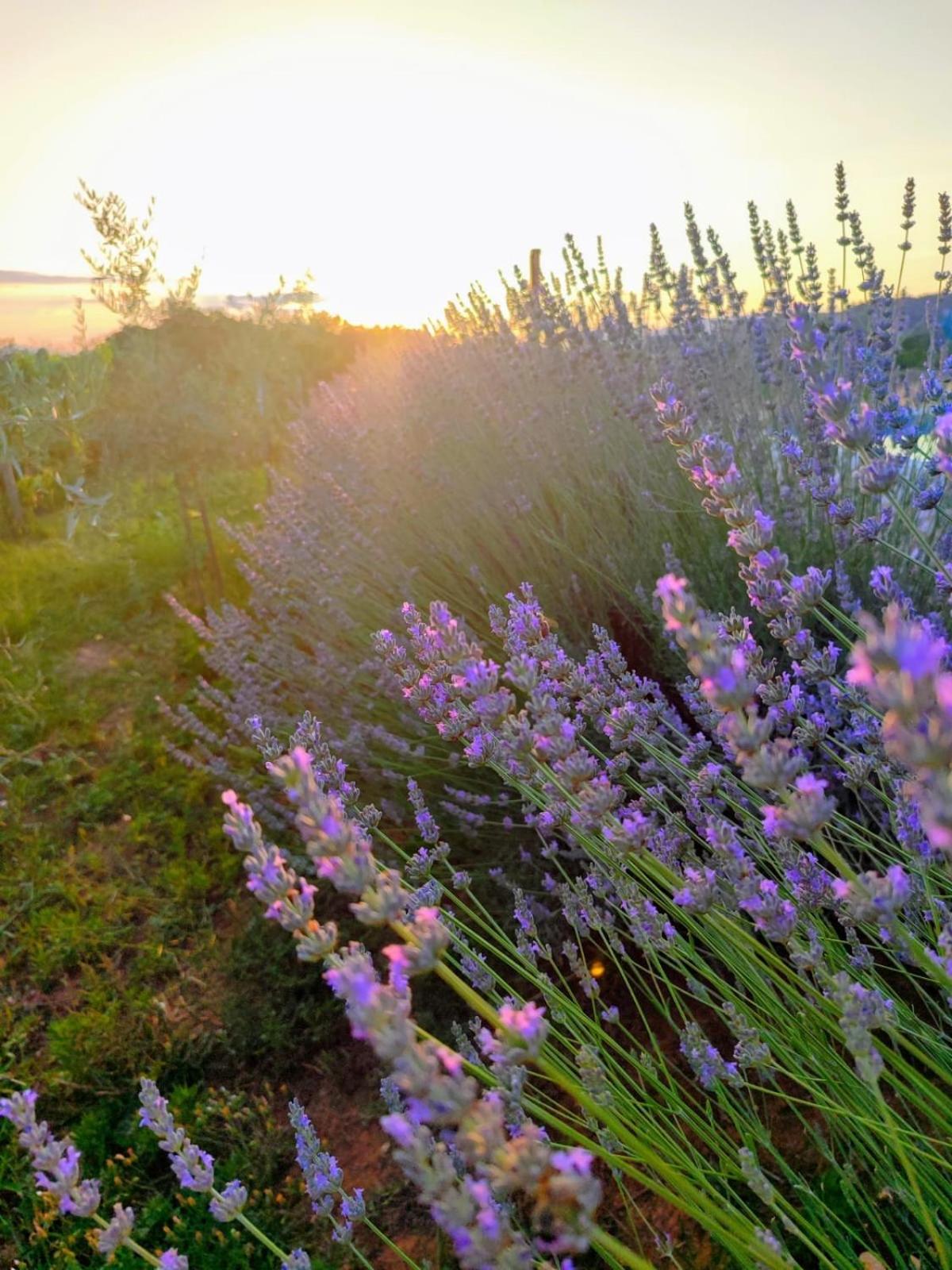 Вилла Kuca Za Odmor Planinic Krehin Dvor Экстерьер фото